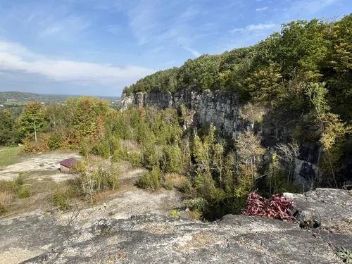 Hawthorne on Trafalgar neighborhood 8